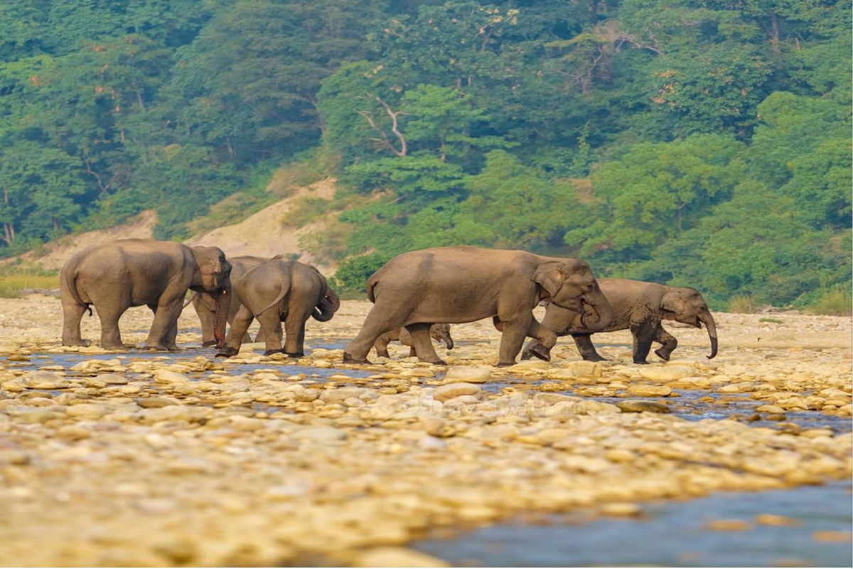 Uttarakhand Tour Gallery